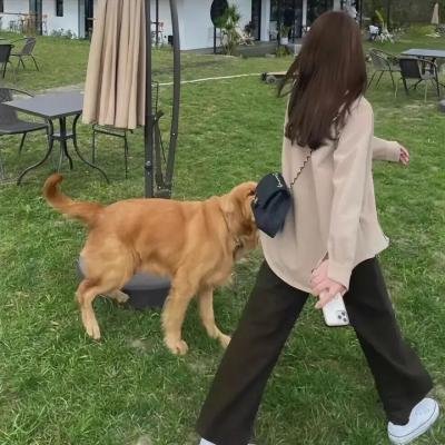 女孩 海报